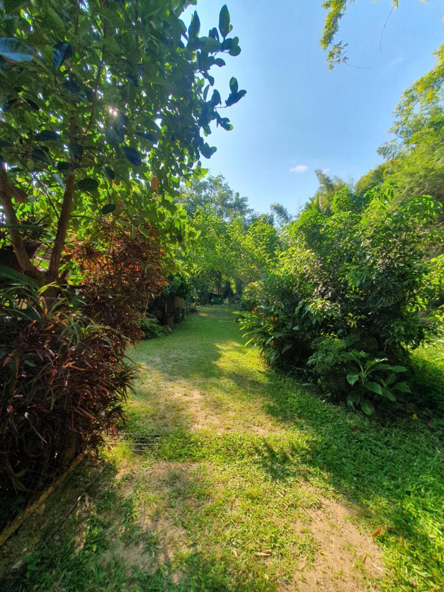 Mind'S Homestay มายด์โฮมสเตย์ Kampong Huaibu Εξωτερικό φωτογραφία